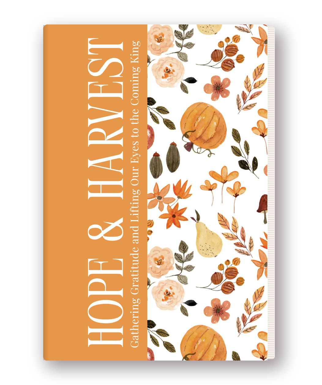 ROOTS: Hope & Harvest morning journal